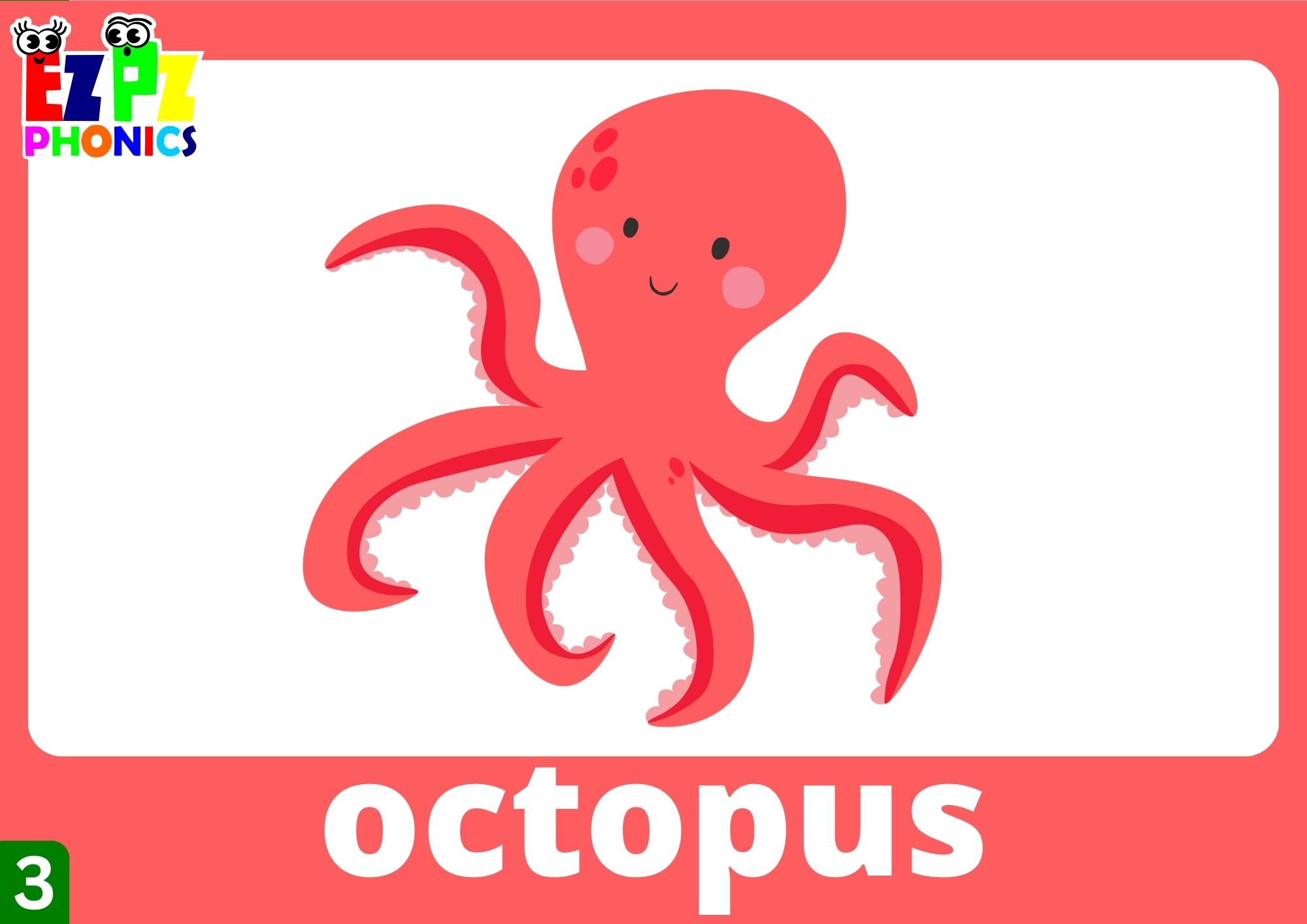 Letter O Words Phonics Flashcards with Images and Words Free Printable PDF or View Online For Homeschool Parents and Teachers to Teach Kindergarten and Preschool Children Group 3